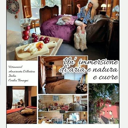 Villa Amaranta Room And Breakfast Эдоло Экстерьер фото